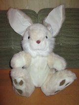 Big, cute and very fluffy bunny - never used in Ramstein, Germany